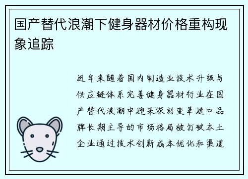 国产替代浪潮下健身器材价格重构现象追踪